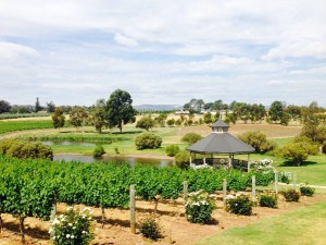 Swan valley sittella winery